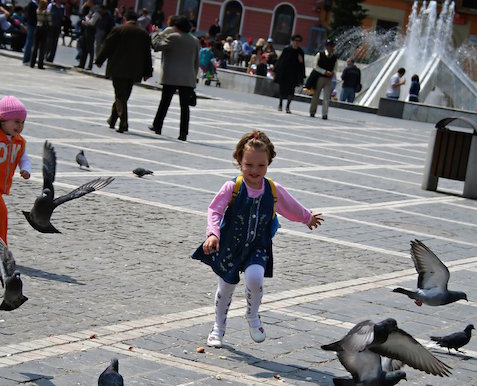 Liten jente løper etter duer